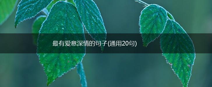 最有爱意深情的句子(通用20句),第1张