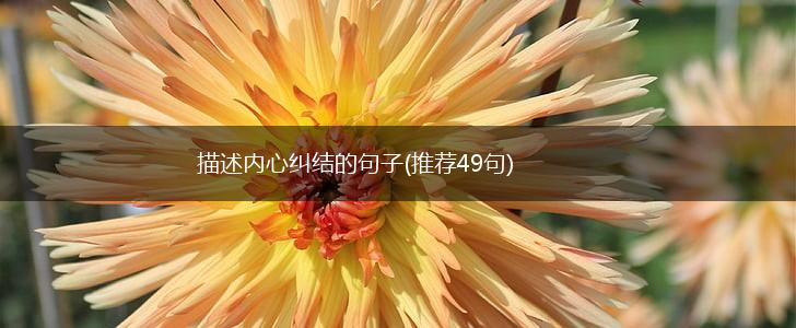 描述内心纠结的句子(推荐49句),第1张