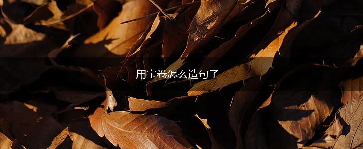 用宝卷怎么造句子,第1张 用宝卷怎么造句子,第1张