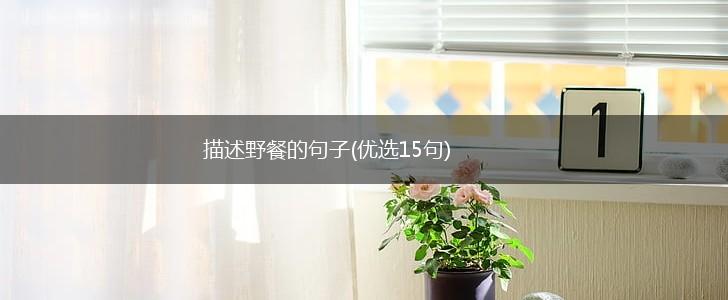 描述野餐的句子(优选15句),第1张