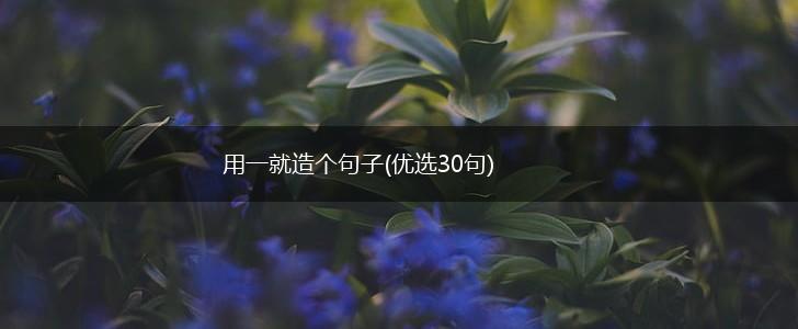 用一就造个句子(优选30句),第1张