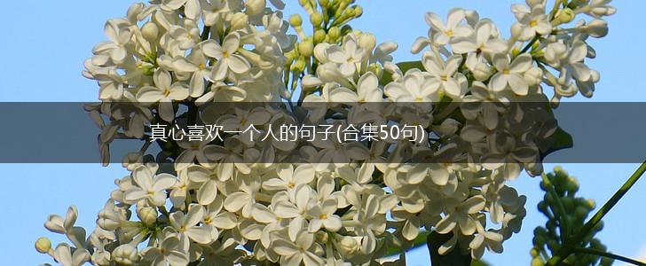 真心喜欢一个人的句子(合集50句),第1张