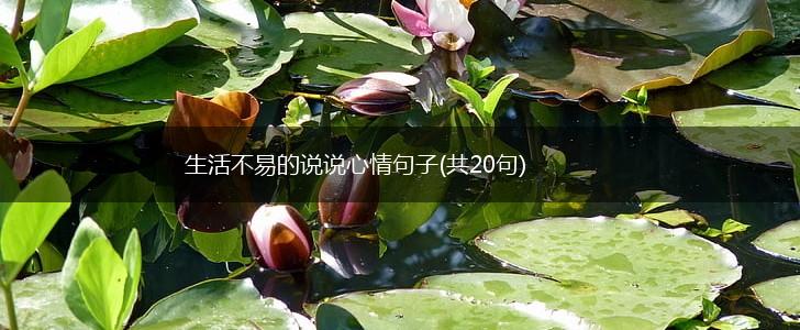 生活不易的说说心情句子(共20句),第1张