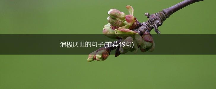 消极厌世的句子(推荐49句),第1张