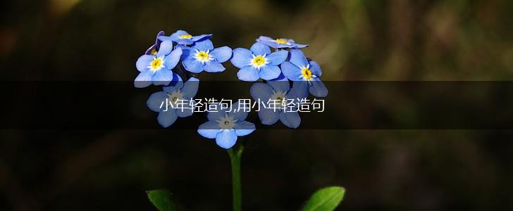 小年轻造句,用小年轻造句,第1张
