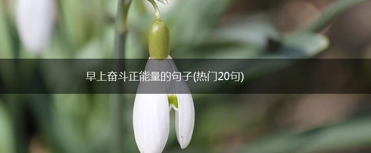 早上奋斗正能量的句子(热门20句),第1张