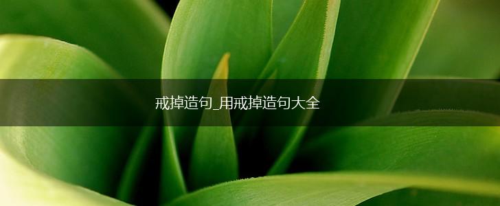 戒掉造句_用戒掉造句大全,第1张