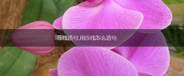 压线造句,用压线怎么造句,第1张