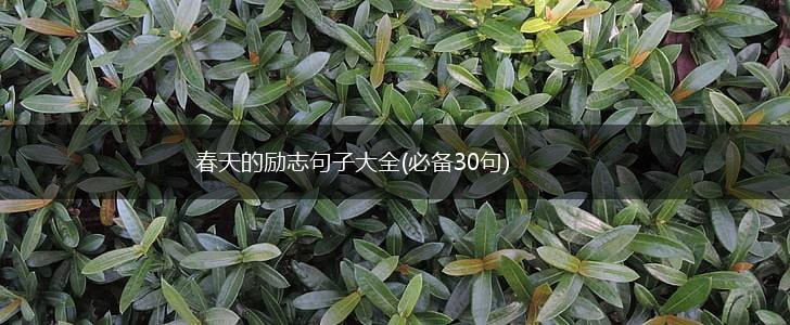 春天的励志句子大全(必备30句),第1张