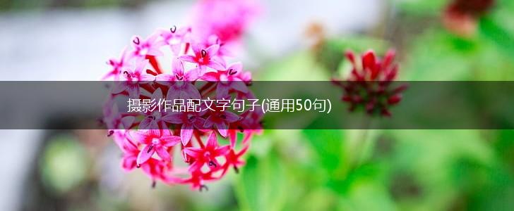 摄影作品配文字句子(通用50句),第1张