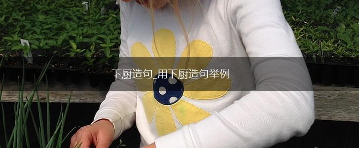 下厨造句_用下厨造句举例,第1张