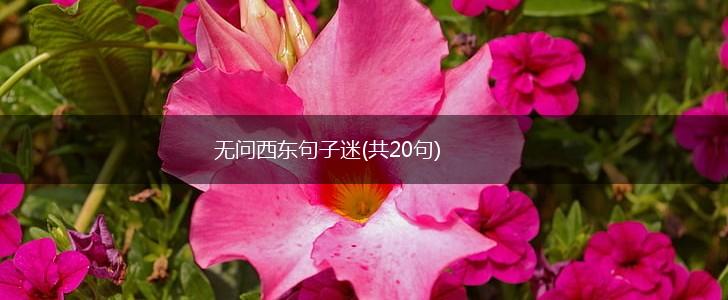无问西东句子迷(共20句),第1张