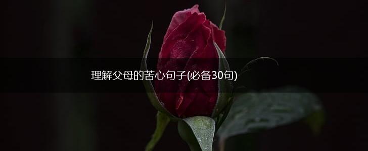 理解父母的苦心句子(必备30句),第1张