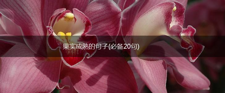 果实成熟的句子(必备20句),第1张