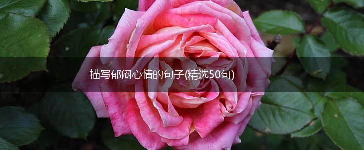 描写郁闷心情的句子(精选50句),第1张