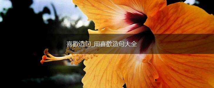喜歡造句_用喜歡造句大全,第1张