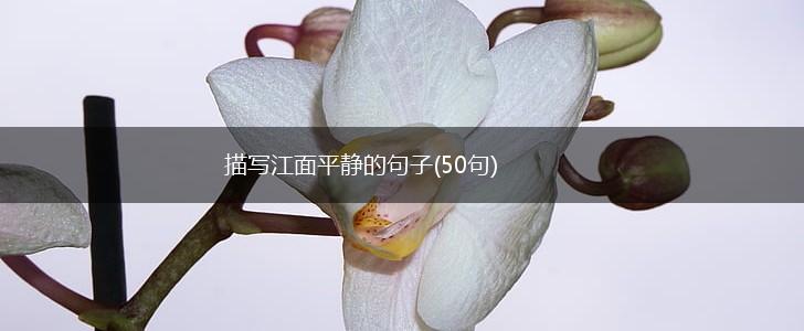 描写江面平静的句子(50句),第1张