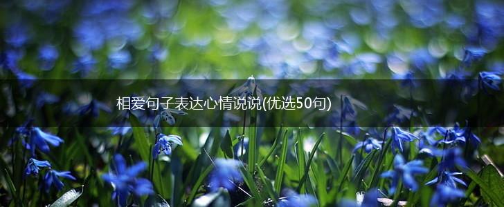 相爱句子表达心情说说(优选50句),第1张