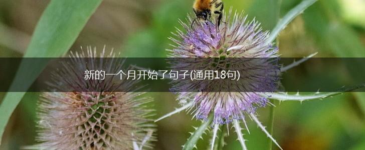 新的一个月开始了句子(通用18句),第1张