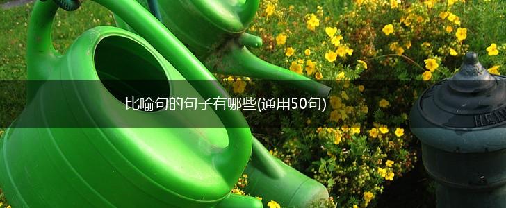 比喻句的句子有哪些(通用50句),第1张