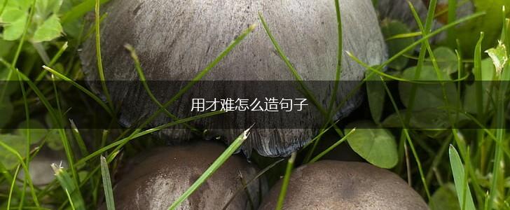 用才难怎么造句子,第1张