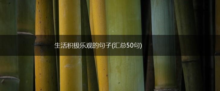 生活积极乐观的句子(汇总50句),第1张
