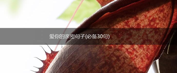 爱你的亲密句子(必备30句),第1张