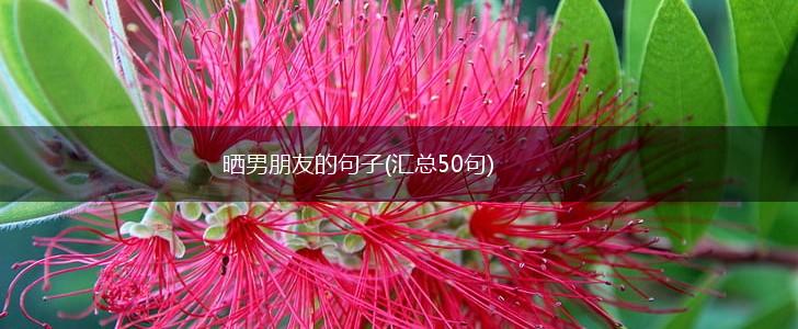 晒男朋友的句子(汇总50句),第1张