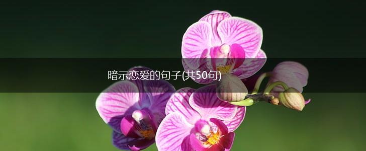 暗示恋爱的句子(共50句),第1张
