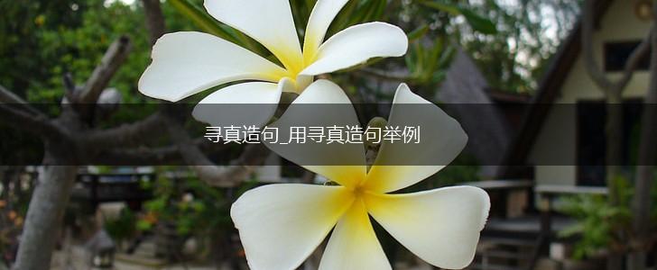寻真造句_用寻真造句举例,第1张 寻真造句_用寻真造句举例,第1张