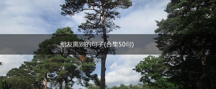 朋友离别的句子(合集50句),第1张