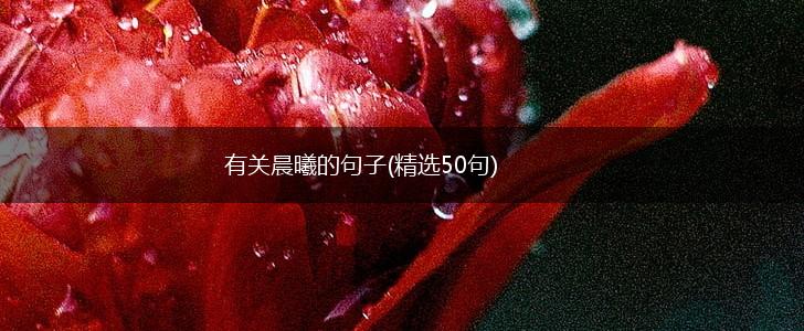 有关晨曦的句子(精选50句),第1张