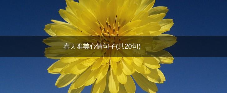春天唯美心情句子(共20句),第1张