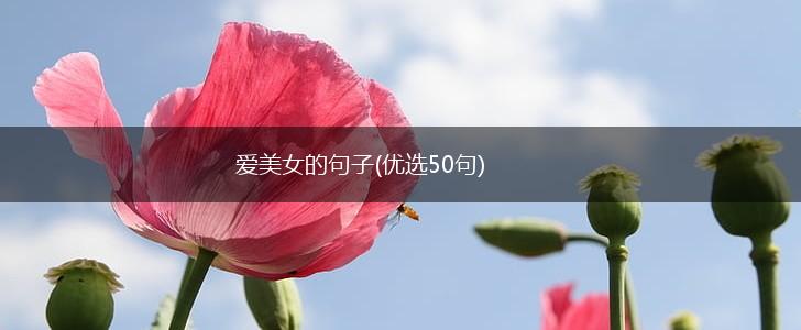 爱美女的句子(优选50句),第1张