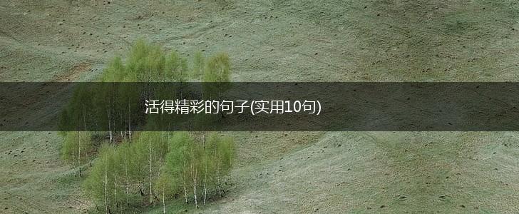 活得精彩的句子(实用10句),第1张