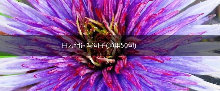 白云组词写句子(通用50句),第1张
