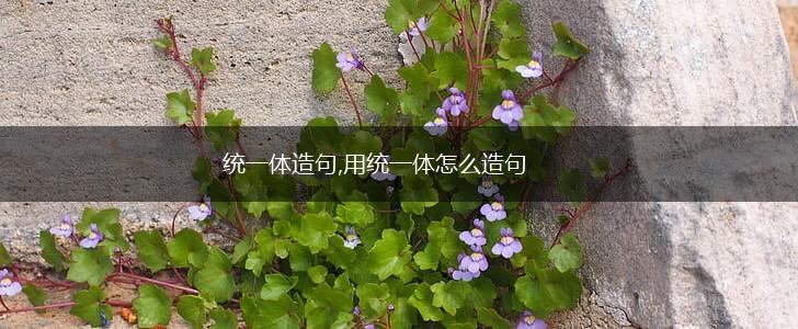 统一体造句,用统一体怎么造句,第1张 统一体造句,用统一体怎么造句,第1张