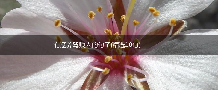 有涵养骂贱人的句子(精选10句),第1张