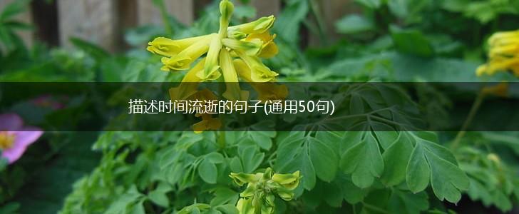描述时间流逝的句子(通用50句),第1张