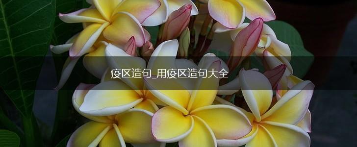 疫区造句_用疫区造句大全,第1张