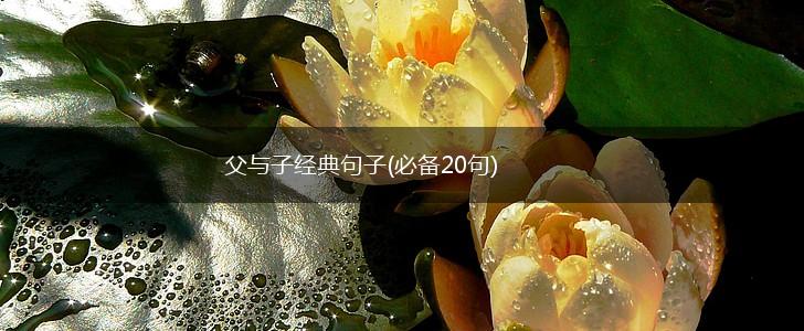 父与子经典句子(必备20句),第1张