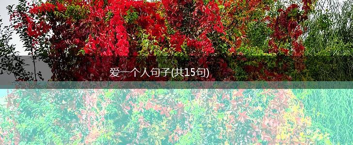 爱一个人句子(共15句),第1张