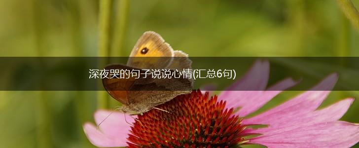 深夜哭的句子说说心情(汇总6句),第1张