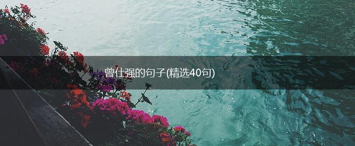 曾仕强的句子(精选40句),第1张