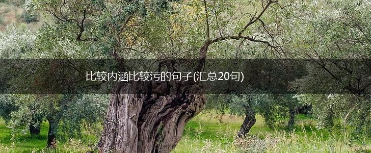 比较内涵比较污的句子(汇总20句),第1张
