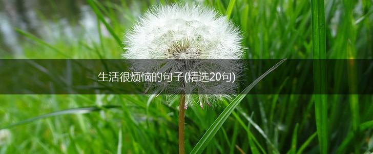 生活很烦恼的句子(精选20句),第1张