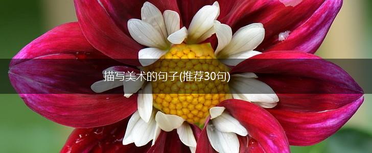描写美术的句子(推荐30句),第1张