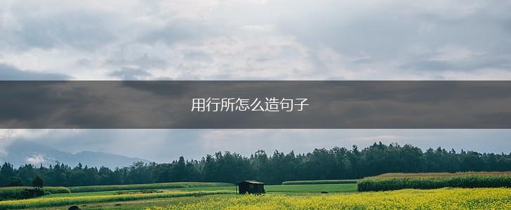用行所怎么造句子,第1张 用行所怎么造句子,第1张