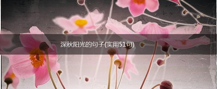 深秋阳光的句子(实用51句),第1张