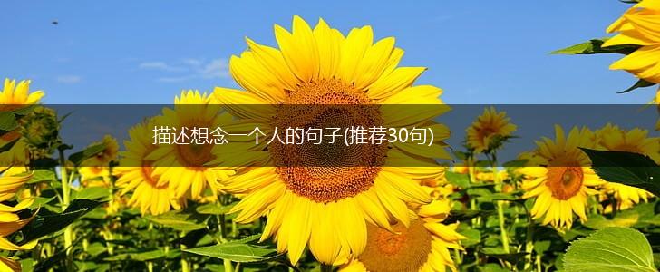 描述想念一个人的句子(推荐30句),第1张